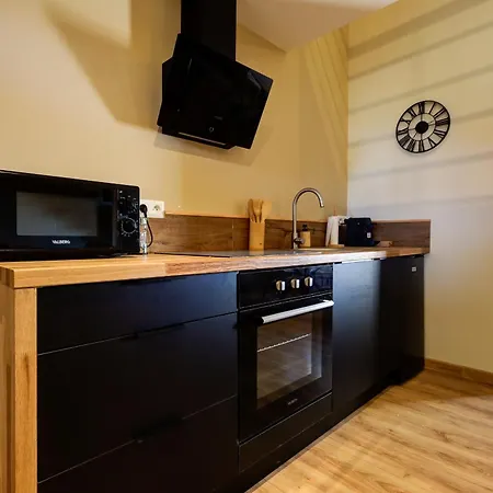 Duplex Avec Terrasse Proche Perouges Meximieux Cnpe Bugey Apartment Faramans (Ain)